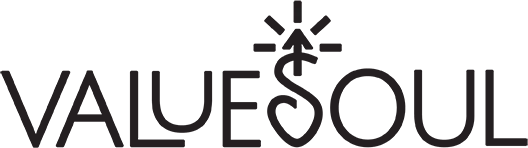 valuesoul.com