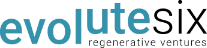 evolutesix website link